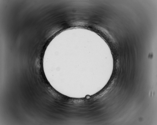 X0000103411209200810241200