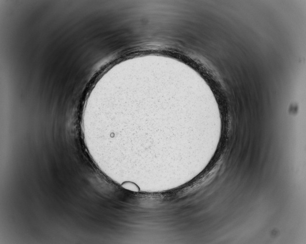 X0000103411210200810241200