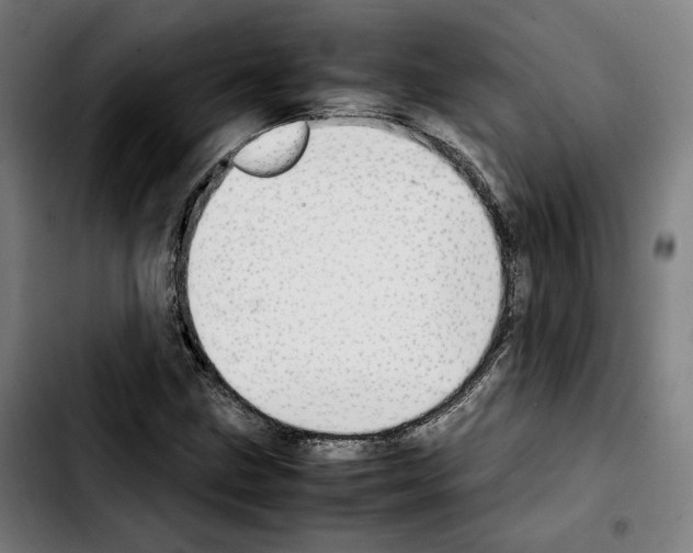 X0000103411211200810241200