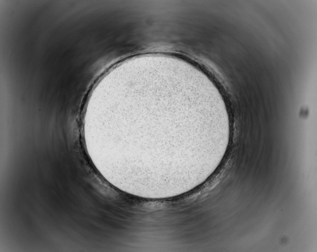 X0000103411212200810241200