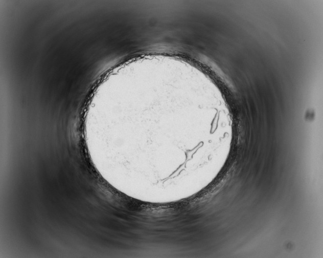 X0000103411213200810241200