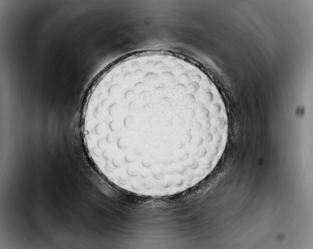 X0000103411216200810241200