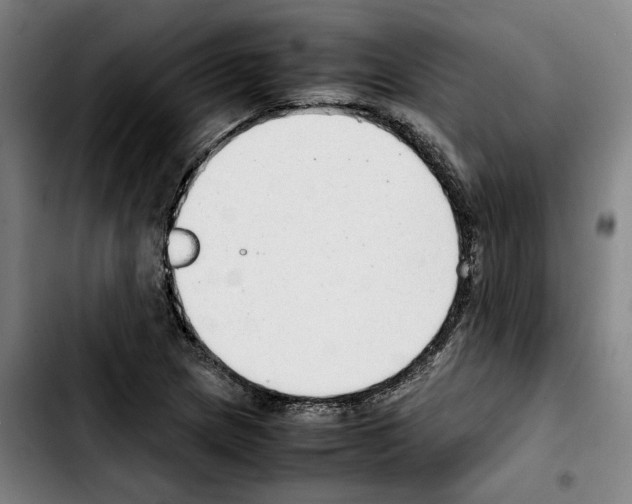 X0000103411217200810241200