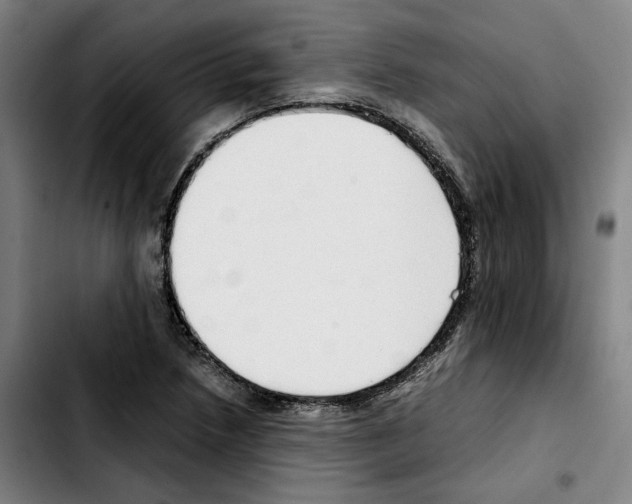 X0000103411218200810241200