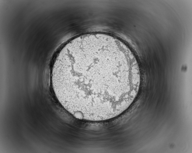 X0000103411219200810241200