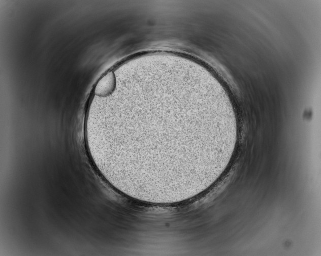 X0000103411224200810241201