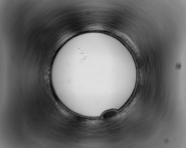 X0000103411225200810241201