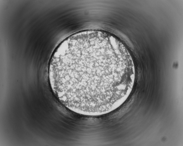 X0000103411226200810241201