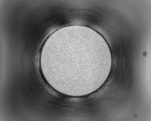 X0000103411227200810241201