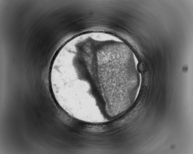 X0000103411229200810241201