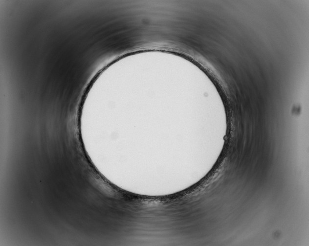 X0000103411230200810241201