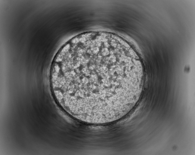 X0000103411231200810241201