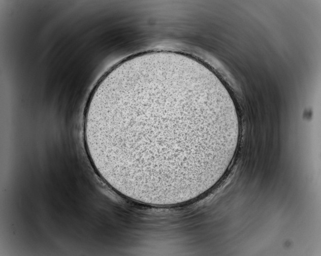 X0000103411232200810241201