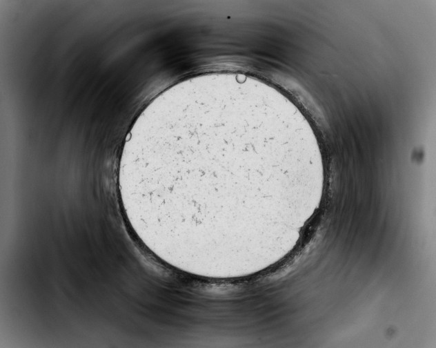 X0000103411233200810241201