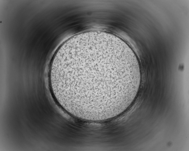 X0000103411235200810241201