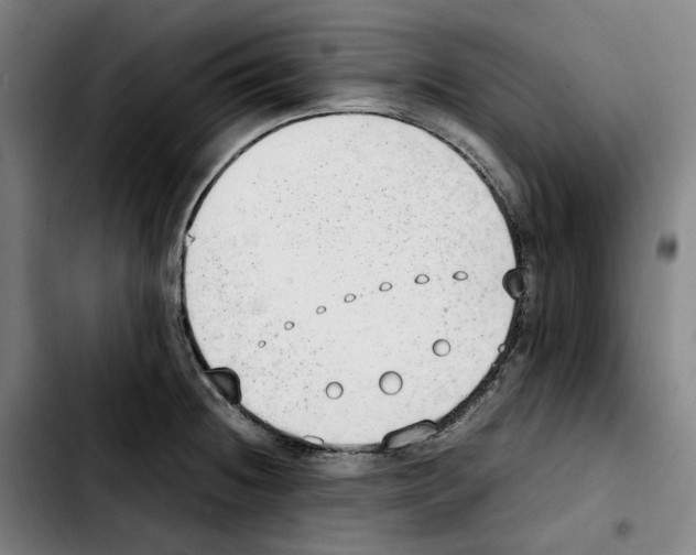 X0000103411236200810241201