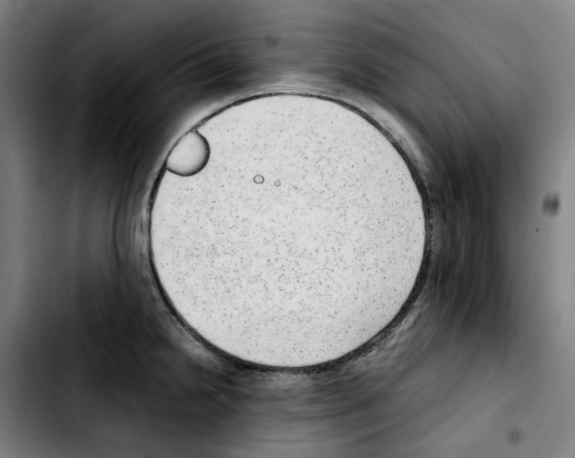 X0000103411238200810241201