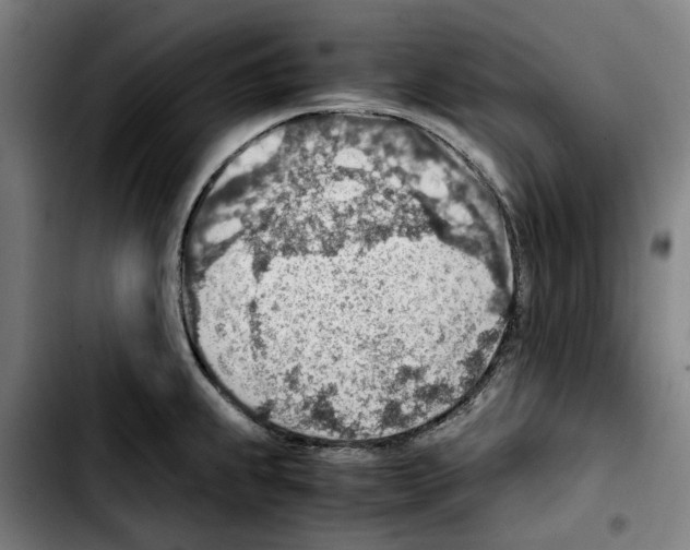 X0000103411239200810241201