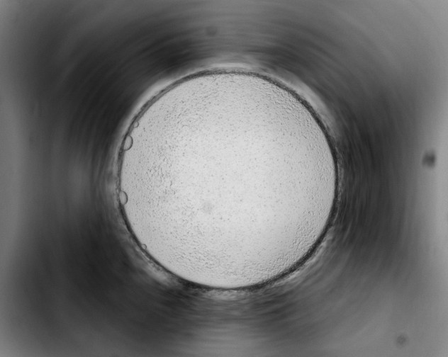 X0000103411240200810241201