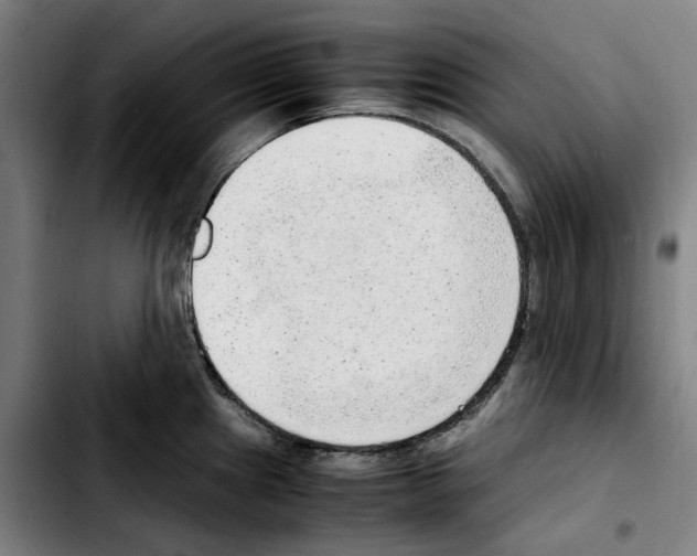 X0000103411241200810241201