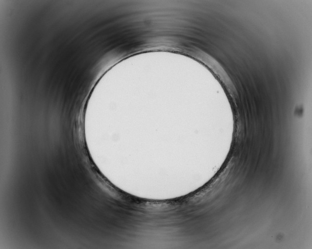 X0000103411242200810241201