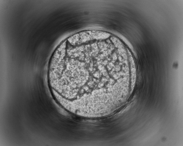 X0000103411245200810241201