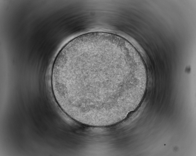 X0000103411246200810241201