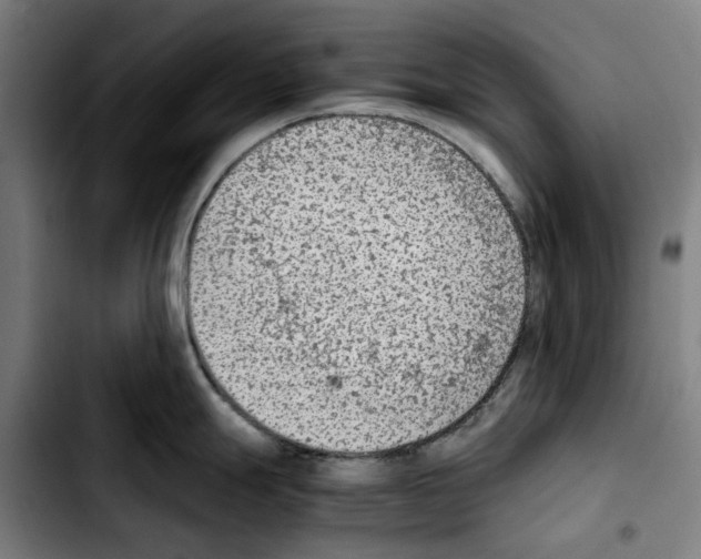 X0000103411247200810241201