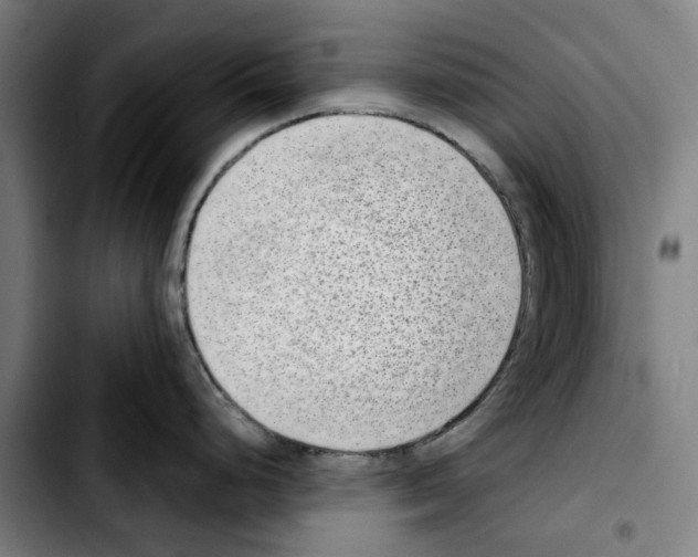 X0000103411248200810241201