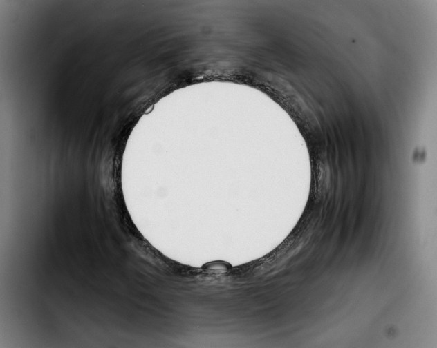 X0000103411250200810241200