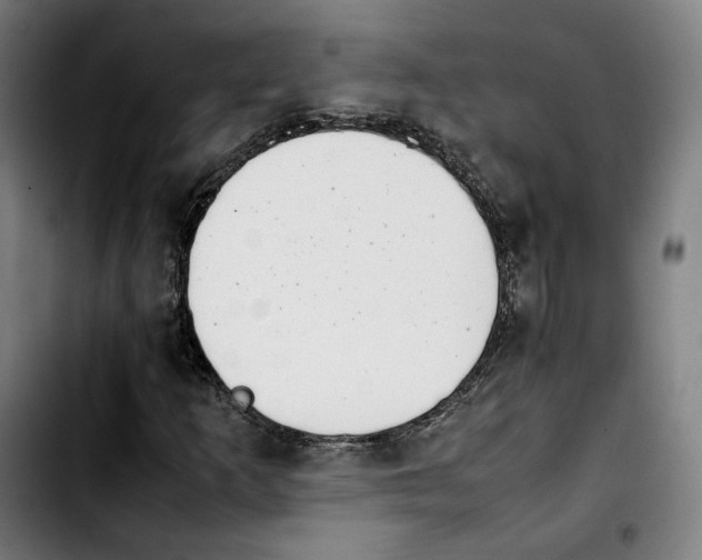 X0000103411253200810241200