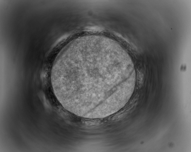 X0000103411254200810241200