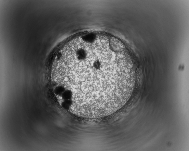 X0000103411255200810241200