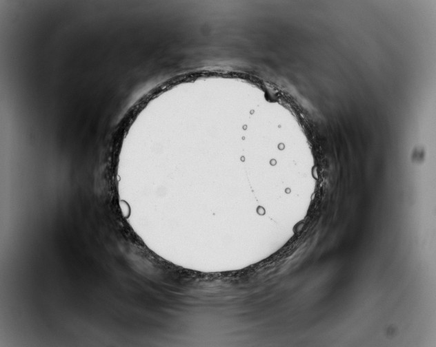 X0000103411256200810241200