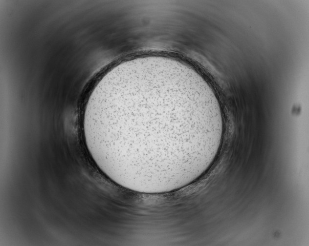 X0000103411258200810241200