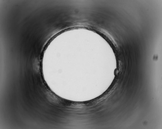 X0000103411260200810241200