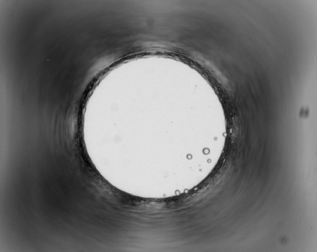 X0000103411261200810241200