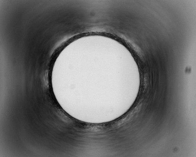 X0000103411262200810241200