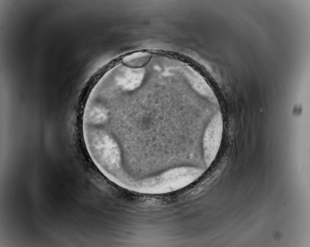 X0000103411263200810241200