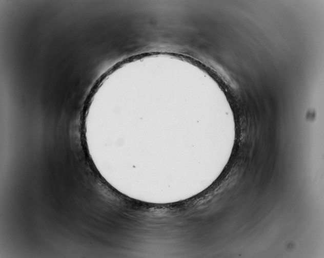 X0000103411264200810241200