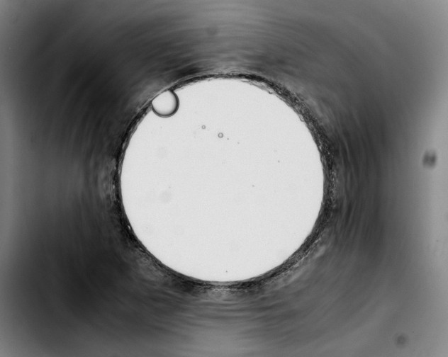 X0000103411265200810241200