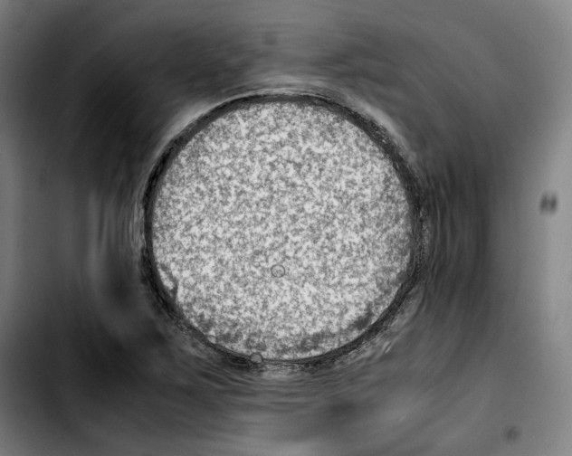 X0000103411267200810241200