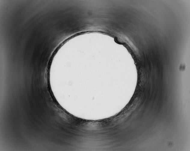 X0000103411268200810241200