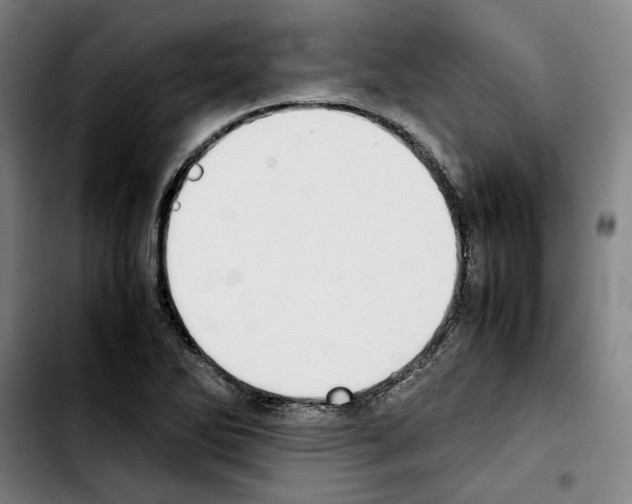 X0000103411270200810241200