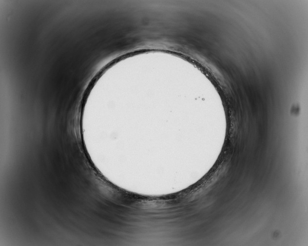 X0000103411272200810241200