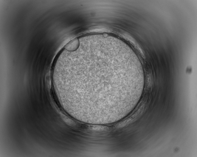 X0000103411274200810241200