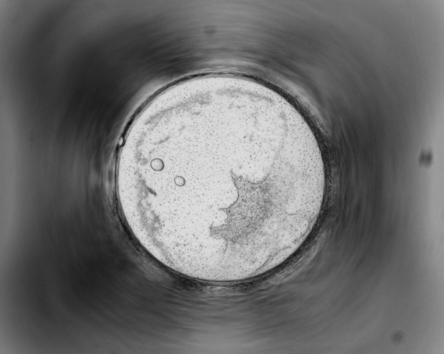 X0000103411275200810241200