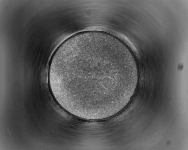 X0000103411276200810241200