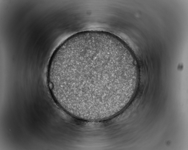 X0000103411277200810241200