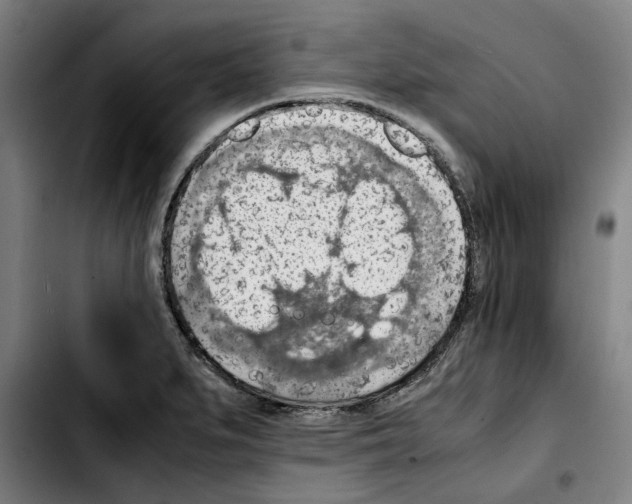 X0000103411279200810241200